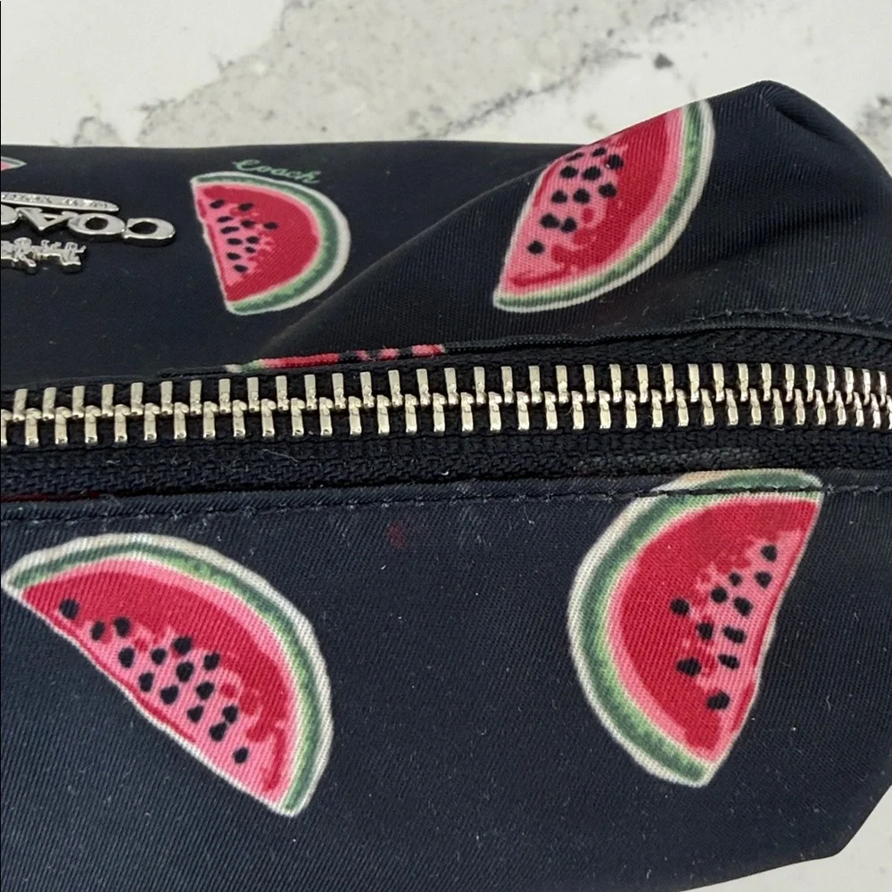 Coach Large Pouch with Watermelon Print